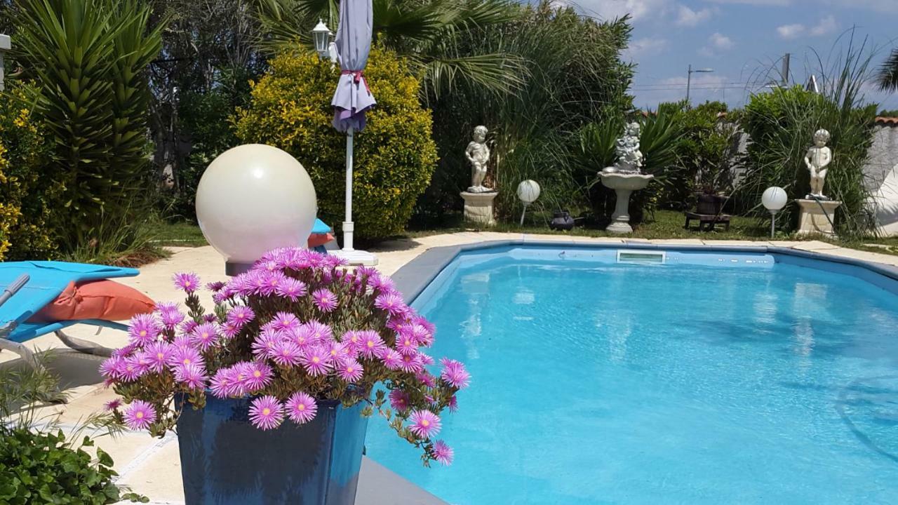 Suite-Junior -Villa Helene - Montpellier Sud - Aeroport- Piscine Privee-2Mn Des Plages Pérols Dış mekan fotoğraf