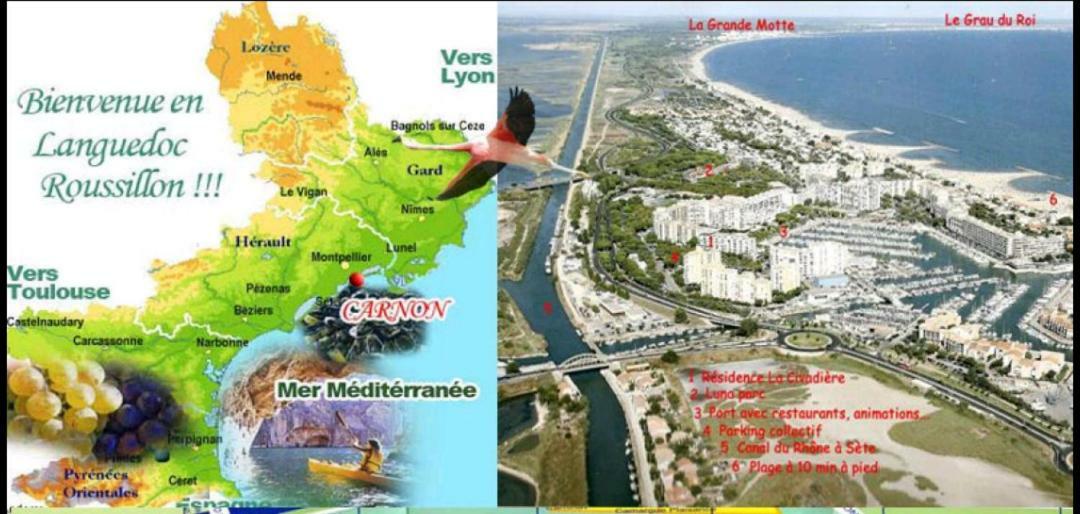 Suite-Junior -Villa Helene - Montpellier Sud - Aeroport- Piscine Privee-2Mn Des Plages Pérols Dış mekan fotoğraf
