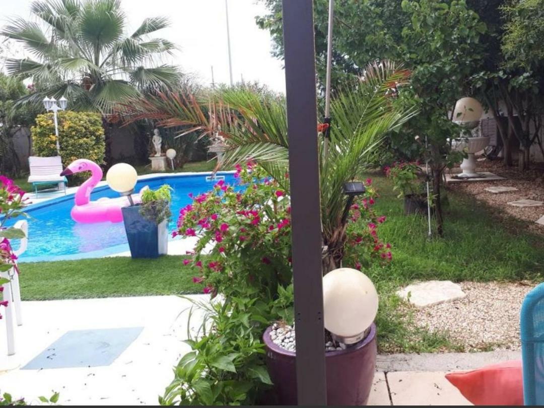 Suite-Junior -Villa Helene - Montpellier Sud - Aeroport- Piscine Privee-2Mn Des Plages Pérols Oda fotoğraf
